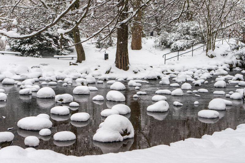 Bajkowo wygląda zimą potok w Parku Oliwskim