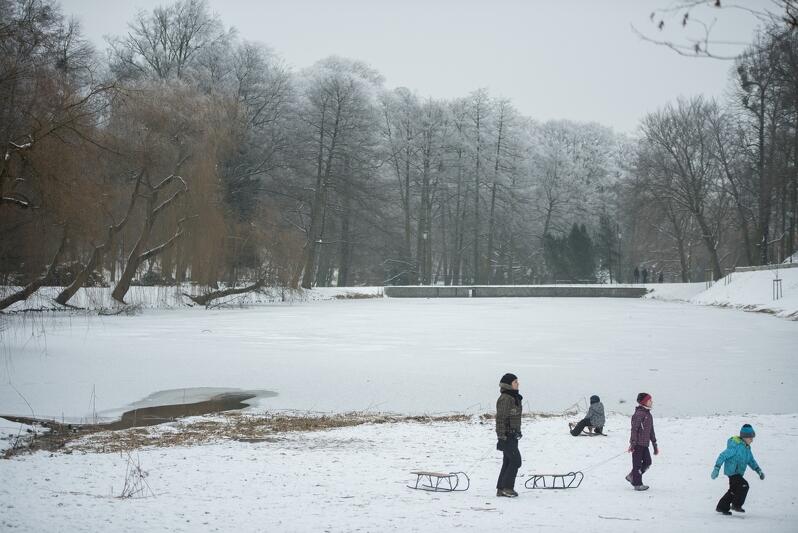 Park zimą, śnieg, zamarznięty zbiornik retencyjny