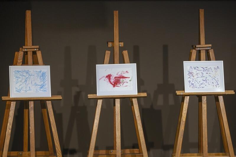 Trzy prace, które namalowała orangutanica Raja, trafiły w 2018 roku na wystawę do Oliwskiego Ratusza Kultury