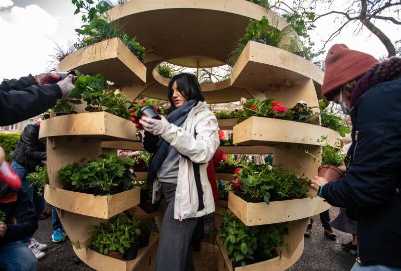 Growroom to miejska farma. Projektantom przyświecała myśl o samowystarczalności miast. Czy można w mieście hodować warzywa, zbierać plony?